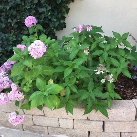 Fewo Auszeit Am Allenberg, 82 Qm Onstmettingen